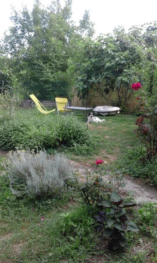 Le Jardin Du Controleur Apartman Valence  Kültér fotó